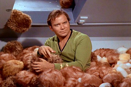 tribbles1.jpg